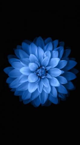 iPhone Wallpaper Black And Blue Plus