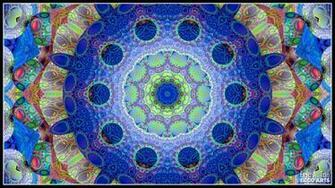 Mandala Wallpaper Animals Photography