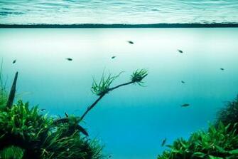 Peacefulness Pictures Image