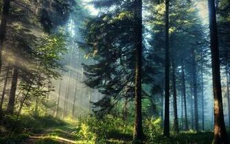 HDr Photography Natural Wallpaper Allwallpaper In Pc En