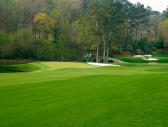 Augusta National Wallpaper Weddingdressin