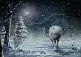 The Lone Wolf By Jerry8448