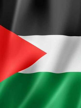 Jordan Flag Wallpaper Red Chevron