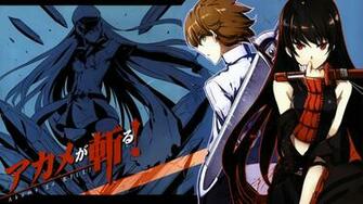 Top Akame Ga Kill Tatsumi And Leone Wallpaper