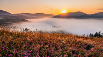 Windows Wallpaper Just Released By Microsoft