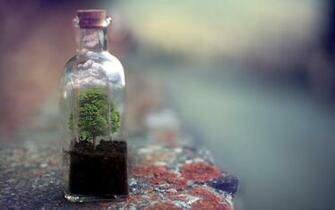 Bottle Wallpaper And Background Image Net