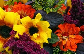 Picture For Planting Flowers Fall And Winter