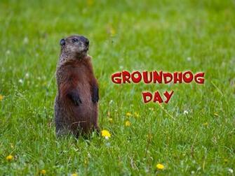 Groundhog Day Wallpaper On