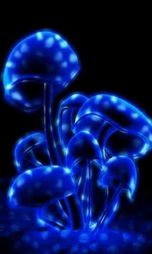 Bigger Glow Mushrooms Live Wallpaper For Android Screenshot