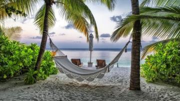 White Hammock Landscape Hammocks Palm Trees Tropical Sea