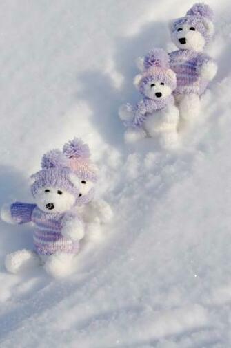 Bears Winter Break iPhone 4s Wallpaper