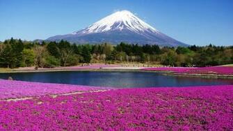 Japan Mount Fuji HD Desktop Wallpaper Yl Computing