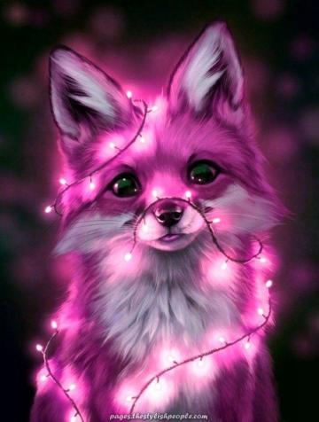 Incredible Funds Cute Animal Drawings Anime Animals