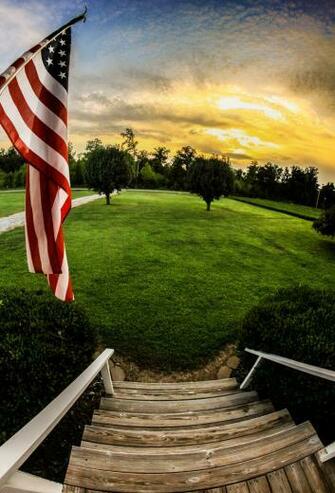 American Dream Wallpaper Conexao