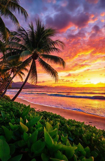 Hawaii Wallpaper Screensavers