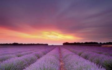 Aesthetic Landscape HD Wallpaper Desktop Background