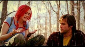 Eternal Sunshine Image Of The Spotless