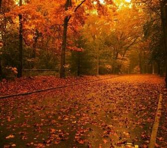 Fall Wallpaper For Desktop Background Image