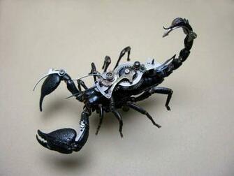 Scorpion Robot HD Wallpaper Pics