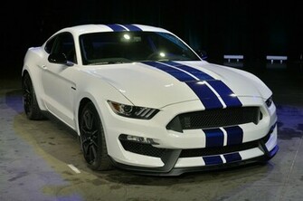 Slides S3117508 Slug L Shelby Gt350 Live Jpg