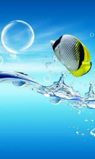 3d Ocean Fish Live Wallpaper App For Android