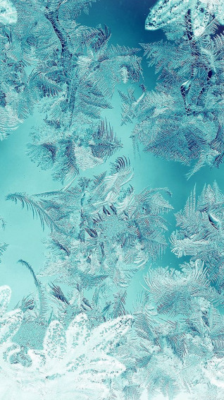 Ice Pattern Green Snow Nauture Christmas iPhone Wallpaper