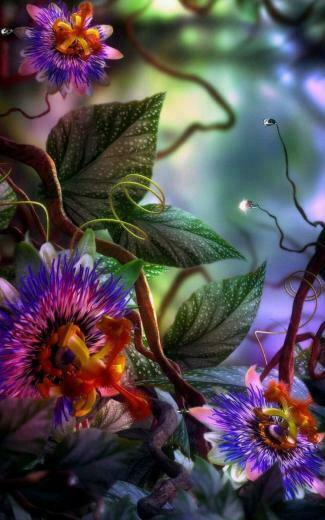3d Flowers Wallpaper iPhone Resolution