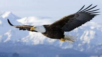 American Eagle Airlines