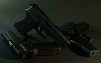 Sig Sauer Wall