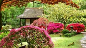 Spring Wallpaper For Your Regular Or Widescreen Desktop Computer