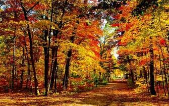 Header Templates Desktop Wallpaper Autumn