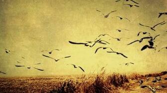Vintage Bird Wallpaper Which Is Under The Birds