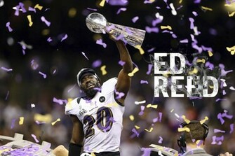 Ed Reed Super Bowl Wallpaper