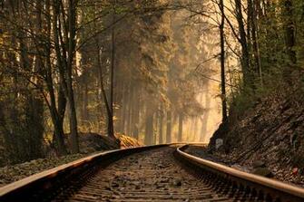 Railroad Forest Train Tracks Trees Wallpaper Background