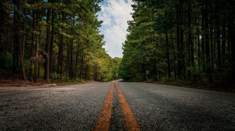 Road 4k Forest Nature Rare Gallery HD Wallpaper