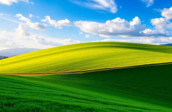 Windows Wallpaper