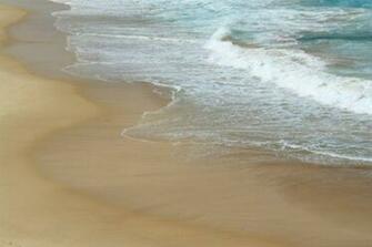Attractions Daytona Beach Shores Florida