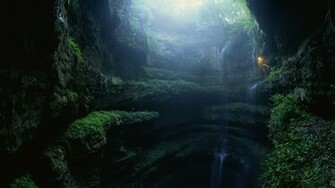 Incredible Nature Full HDtv Wallpaper