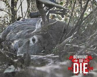 Bowhunting And Hunting Desktop Wallpaper
