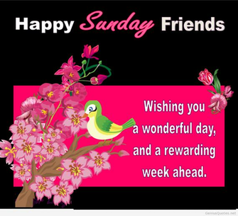 Happy Sunday Large Image
