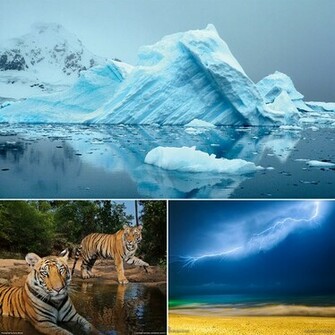 National Geographic Desktop Wallpaper To Relieve Work Stress