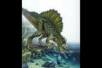 Spinosaurus Wallpaper