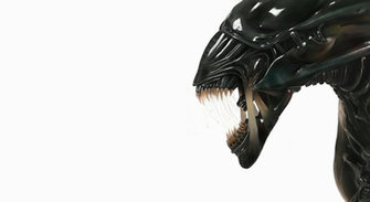 Wallpapert Wallpaper 3d Xenomorph Aliens Movie Html