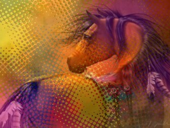 Horses Image Cool Indian Horse HD Wallpaper And Background Photos