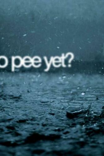 Sarcastic HD Wallpaper iPhone 4s Ipod