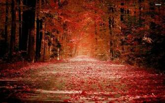 Red Nature Wallpaper