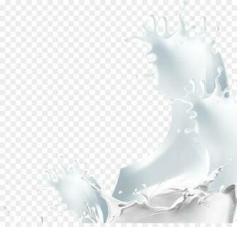 White Background Png Transparent Milk