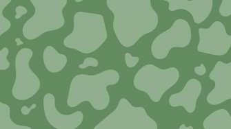 Sage Green Aesthetic Wallpaper