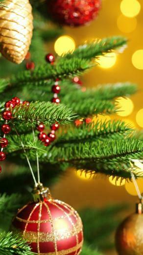 Holiday Mood Ultra HD Wallpaper UHD Net