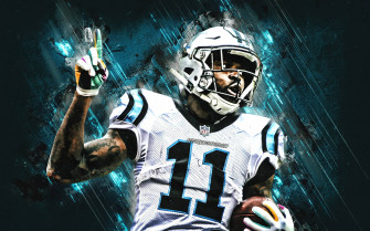 Carolina Panthers Wallpaper 4k Pc